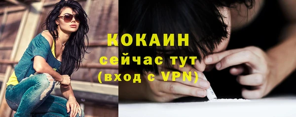 сатива Волоколамск