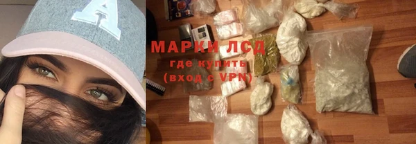 сатива Волоколамск