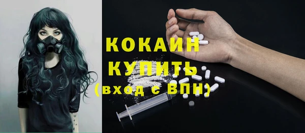 сатива Волоколамск