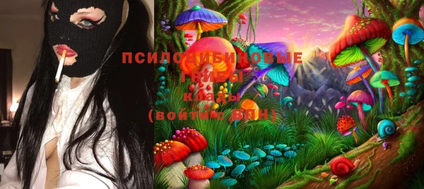 сатива Волоколамск