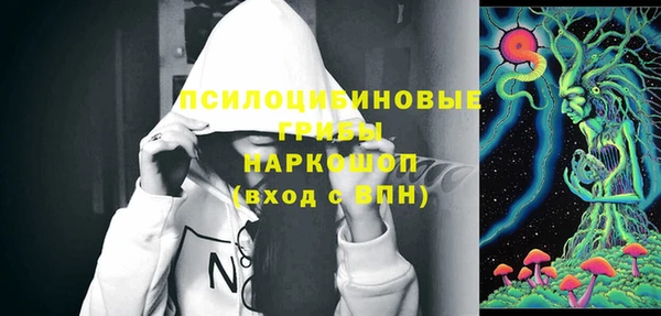 прущая мука Горняк