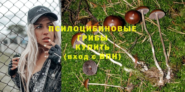 ALPHA PVP Волосово